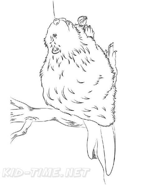 beaver-coloring-pages-028.jpg