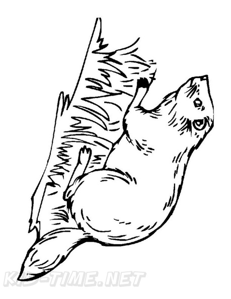 beaver-coloring-pages-034.jpg