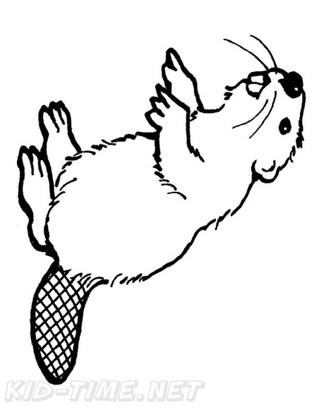 beaver-coloring-pages-037.jpg