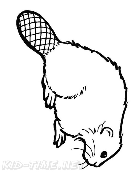beaver-coloring-pages-039.jpg