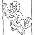 Beaver Coloring Book Page
