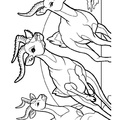 bighorn-sheep-ram-coloring-pages-002.jpg