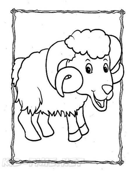 Bighorn Sheep Ram Coloring Book Page Free Coloring Book