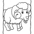 bighorn-sheep-ram-coloring-pages-005.jpg