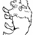 bison-coloring-pages-016.jpg