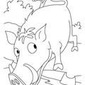 boar-coloring-pages-010.jpg