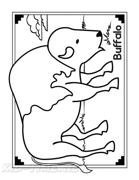 buffalo-coloring-pages-014.jpg