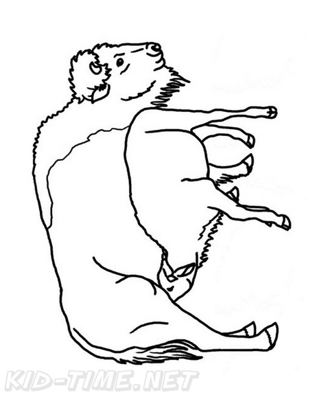 buffalo-coloring-pages-017.jpg