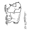 buffalo-coloring-pages-019.jpg