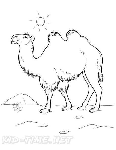 camel-coloring-pages-001.jpg