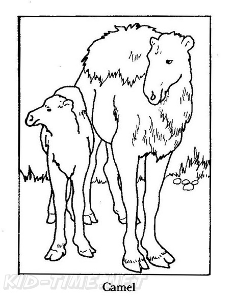 camel-coloring-pages-003.jpg
