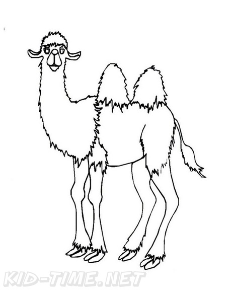 camel-coloring-pages-037.jpg