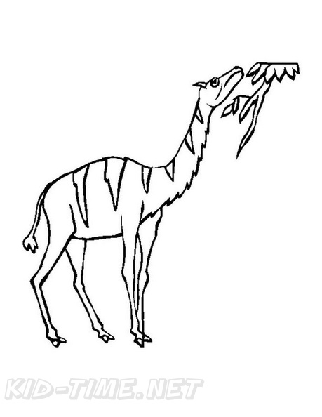camel-coloring-pages-075.jpg