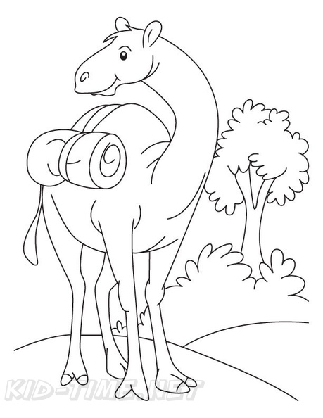 camel-coloring-pages-079.jpg