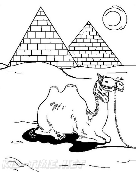 camel-coloring-pages-219.jpg