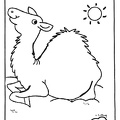 camel-coloring-pages-220.jpg