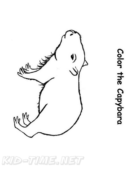 capybara-coloring-pages-006.jpg