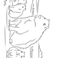 capybara-coloring-pages-010.jpg