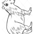 capybara-coloring-pages-013.jpg