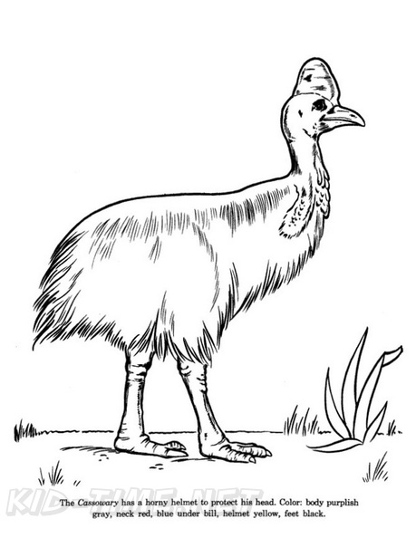 Cassowary_Coloring_Pages_001.jpg