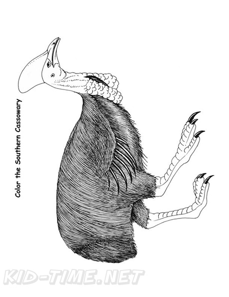 Cassowary_Coloring_Pages_003.jpg