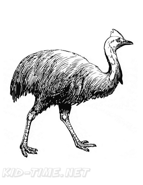 Cassowary_Coloring_Pages_004.jpg