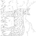 African_Serval_Cat_Coloring_Pages_007.jpg