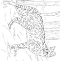 African_Serval_Cat_Coloring_Pages_009.jpg