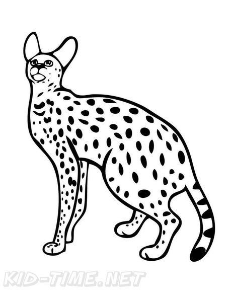 African_Serval_Cat_Coloring_Pages_011.jpg