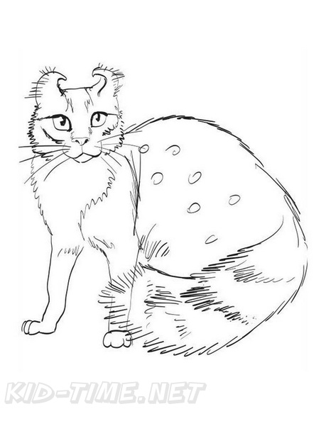 American_Curl_Cat_Coloring_Pages_002.jpg