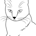 American Shorthair Cat Coloring Book Page