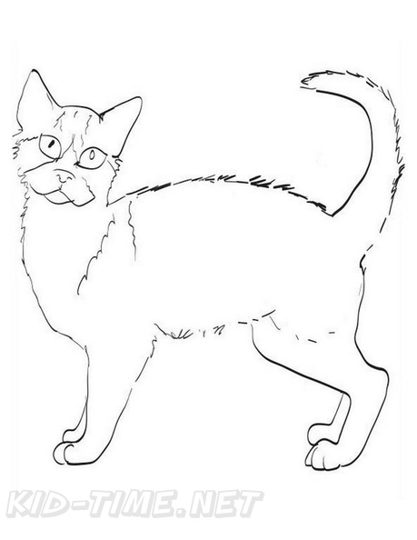 American_Wirehair_Cat_Coloring_Pages_003.jpg