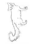 Cats Coloring Book Page