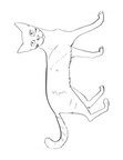 Bengal Cat Coloring Book Page