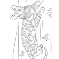 Bengal_Cat_Coloring_Pages_005.jpg
