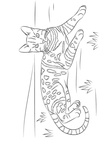 Bengal Cat Coloring Book Page