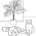 Birman_Cat_Coloring_Pages_004.jpg