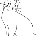 Bombay_Cat_Coloring_Pages_003.jpg