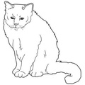 Burmese_Cat_Coloring_Pages_001.jpg