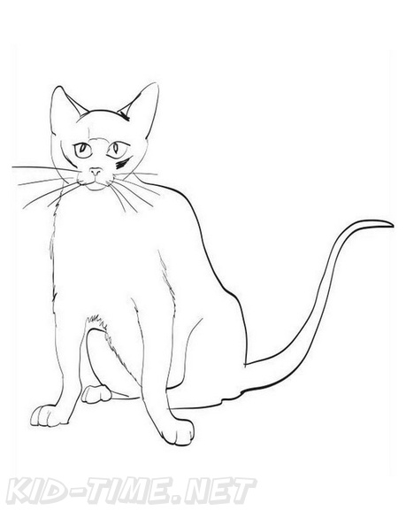 Burmese_Cat_Coloring_Pages_003.jpg