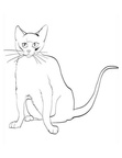 Burmese Cat Breed Coloring Book Page