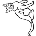 Burmese Cat Breed Coloring Book Page