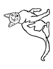 Burmese Cat Breed Coloring Book Page