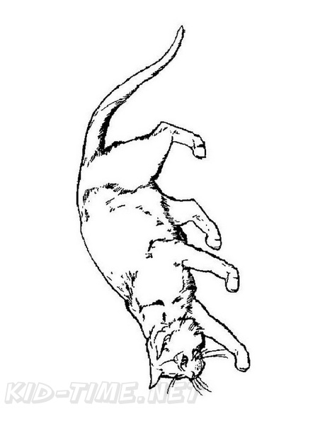 cats-cat-coloring-pages-122.jpg