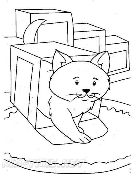 cats-cat-coloring-pages-416.jpg
