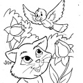 cats-cat-coloring-pages-534.jpg