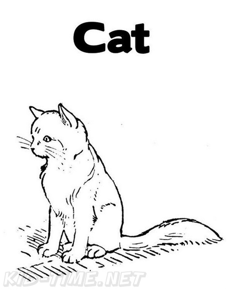 cats-cat-coloring-pages-625.jpg