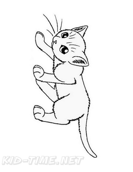 cats-cat-coloring-pages-690.jpg