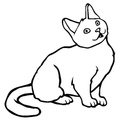 Chartreux_Cat_Coloring_Pages_001.jpg