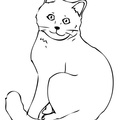 Chartreux_Cat_Coloring_Pages_002.jpg